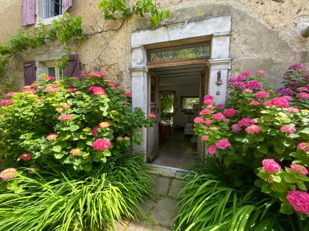 Maison D'Hotes-Maison Castaings Lucq-de-Béarn Exteriör bild